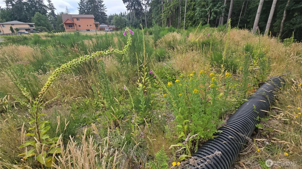26 xx Oregon (Lot C of Short Plat) Avenue E Port Orchard, WA 98366
