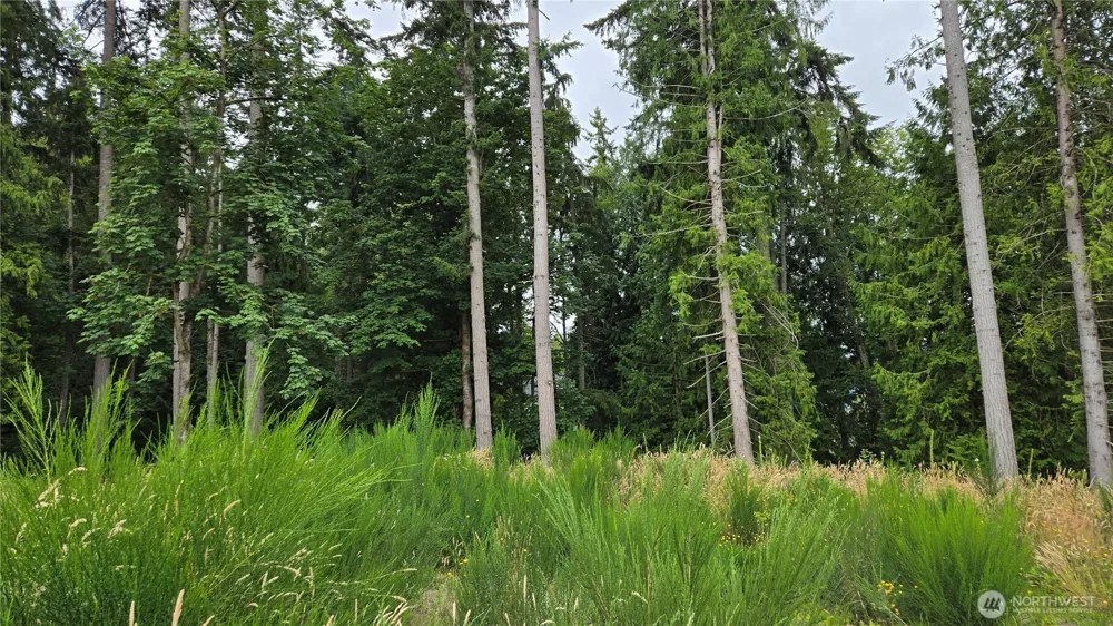 26 xx Oregon (Lot C of Short Plat) Avenue E Port Orchard, WA 98366