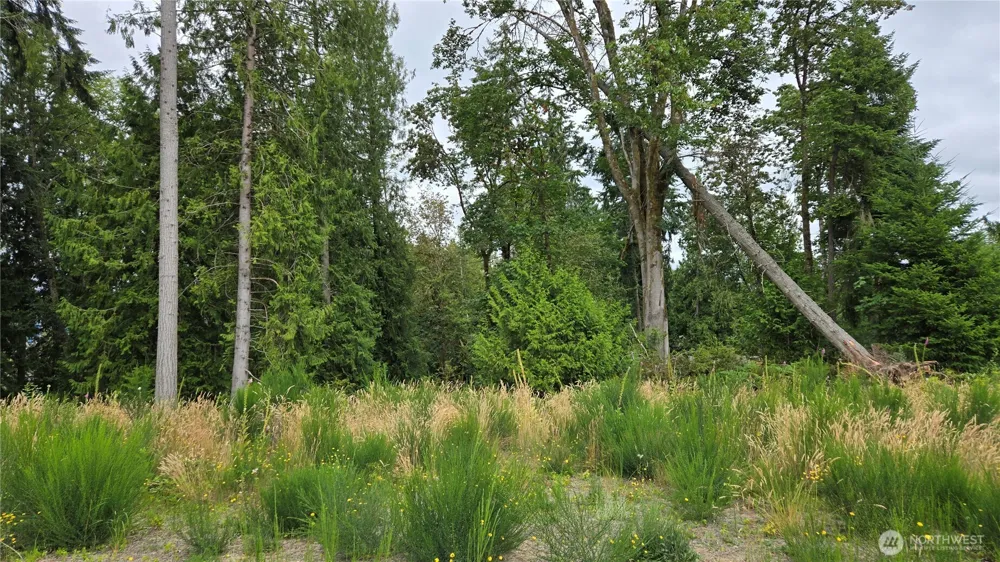 26 xx Oregon (Lot C of Short Plat) Avenue E Port Orchard, WA 98366