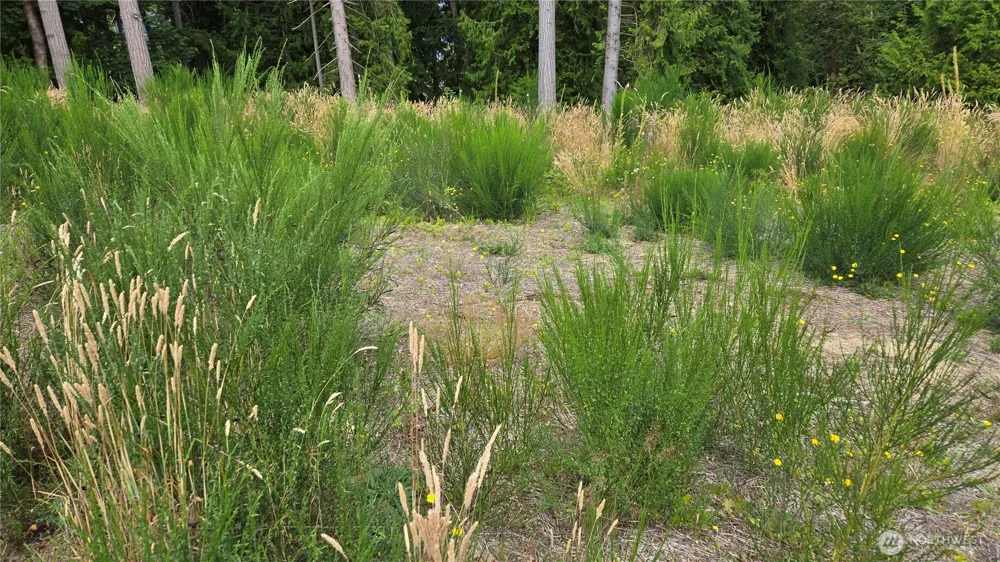 26 xx Oregon (Lot C of Short Plat) Avenue E Port Orchard, WA 98366