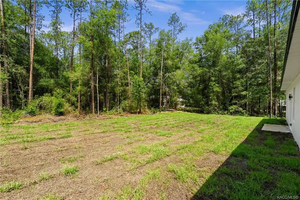 6097 DARLINGTON DRIVE Citrus Springs, FL 34434