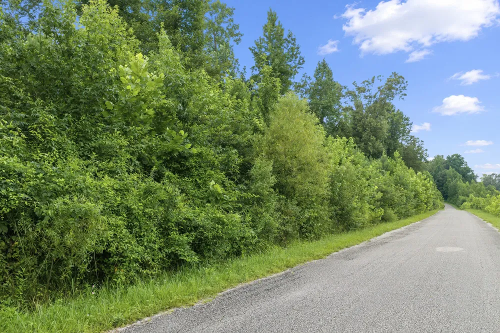 0 Lindsey Rd Parsons, TN 38363