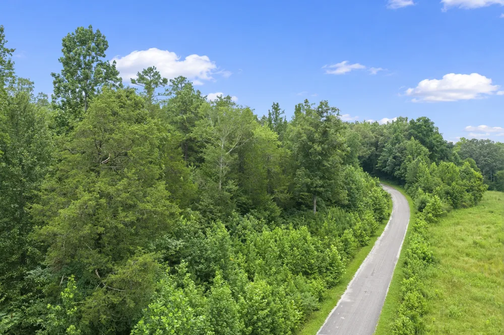 0 Lindsey Rd Parsons, TN 38363