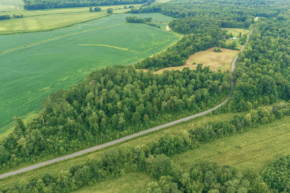 0 Lindsey Rd Parsons, TN 38363
