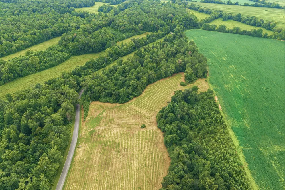 0 Lindsey Rd Parsons, TN 38363