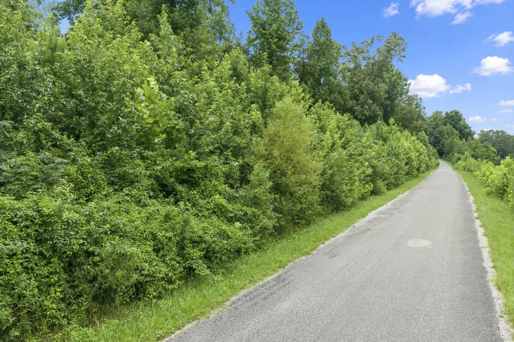 0 Lindsey Rd Parsons, TN 38363