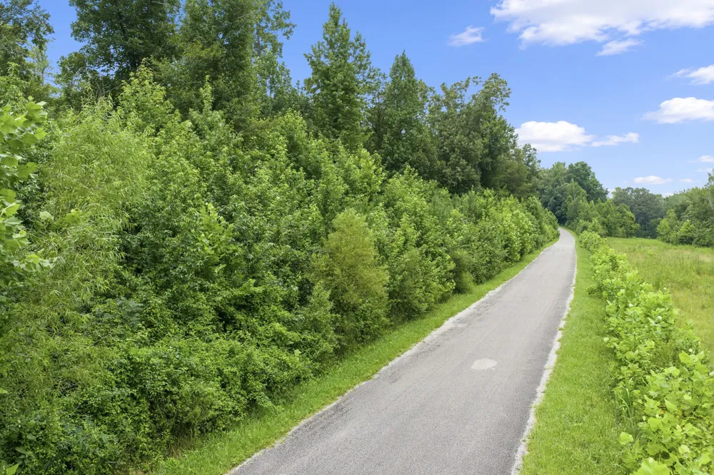 0 Lindsey Rd Parsons, TN 38363