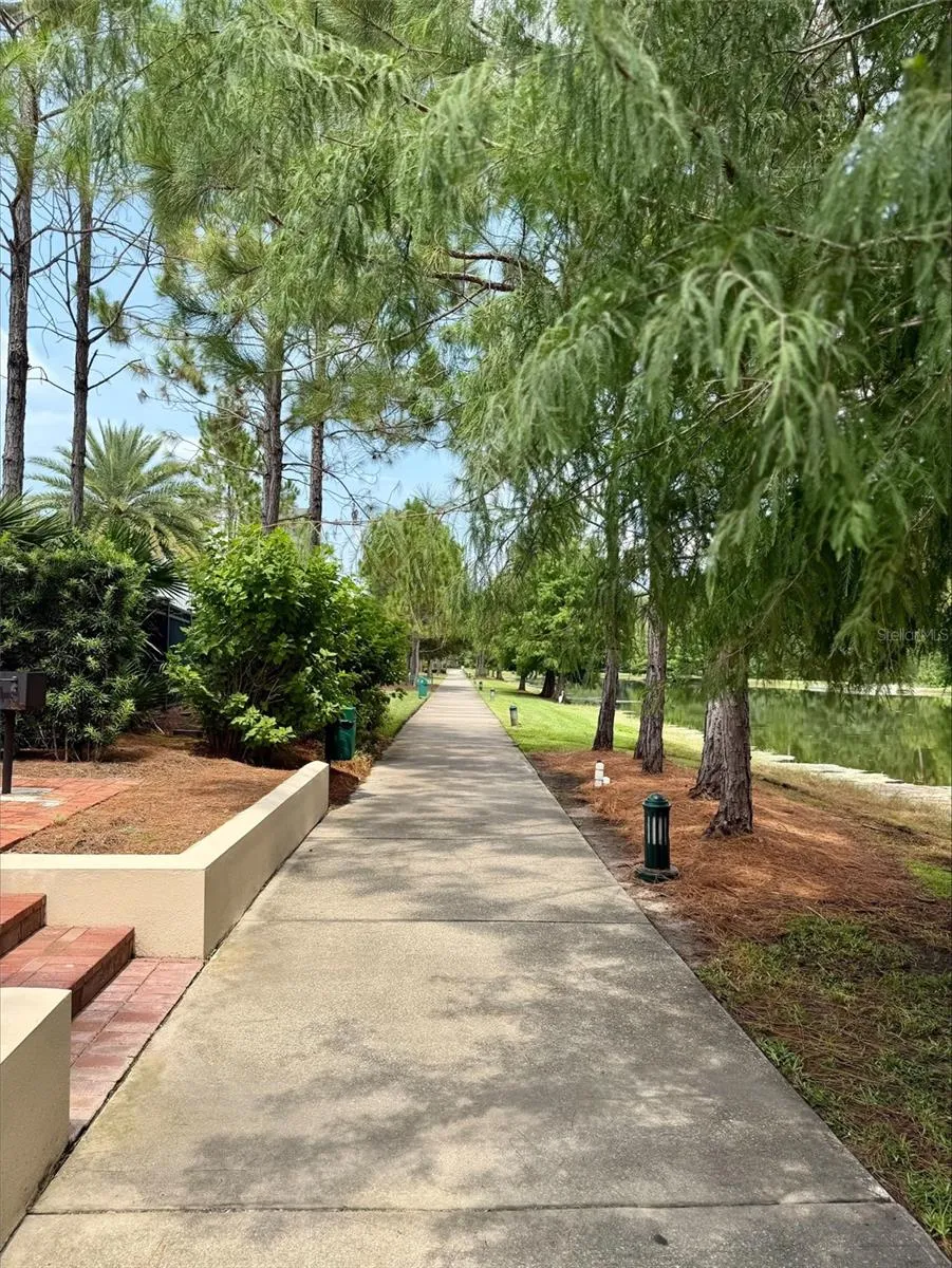 1596 CASTILE STREET Celebration, FL 34747