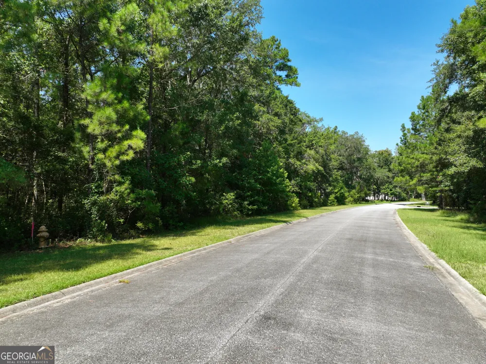 LOT 50 Tar Flower TRL Waverly, GA 31565