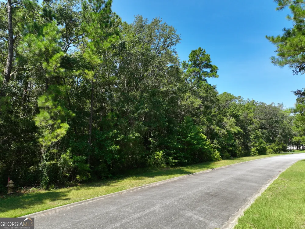 LOT 50 Tar Flower TRL Waverly, GA 31565