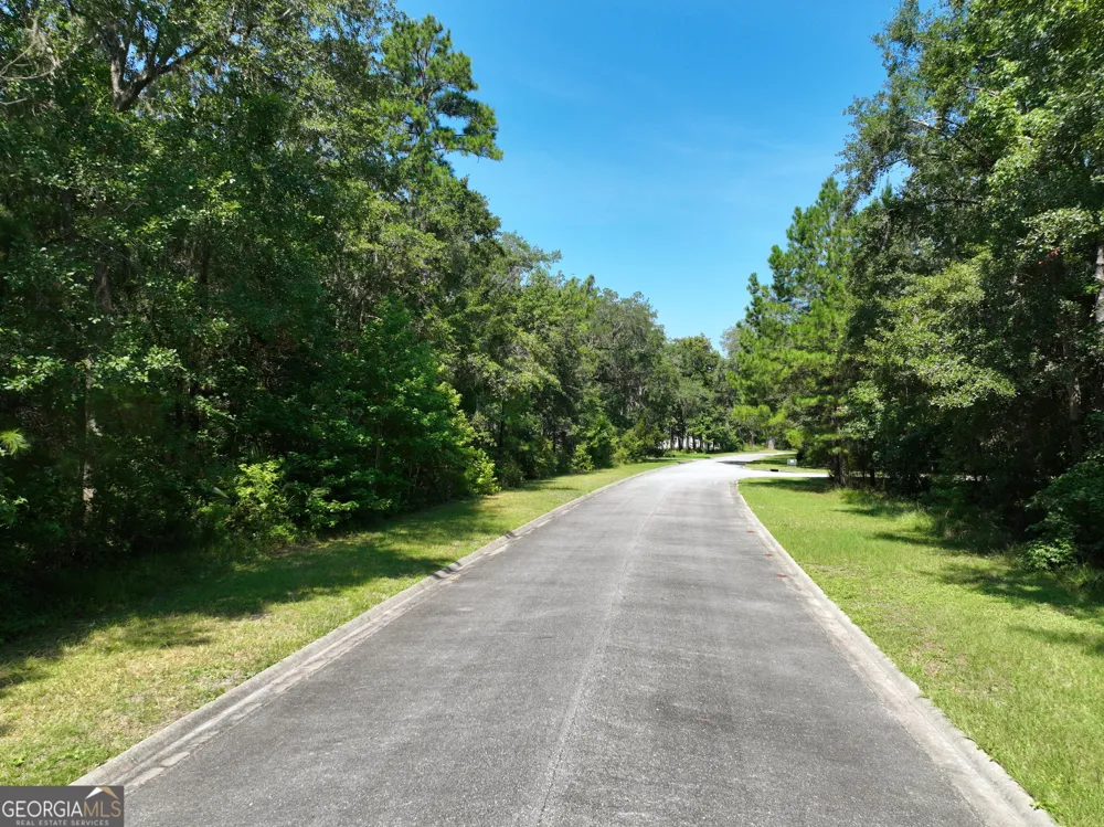 LOT 50 Tar Flower TRL Waverly, GA 31565
