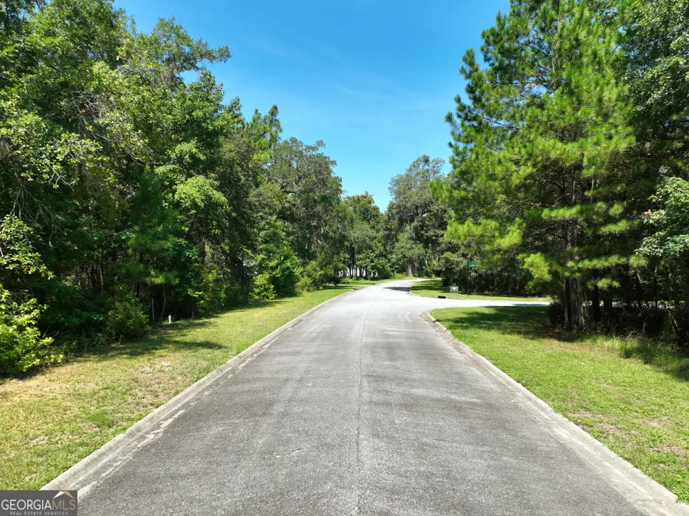 LOT 50 Tar Flower TRL Waverly, GA 31565