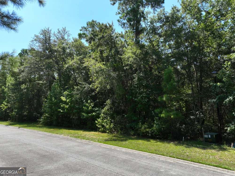 LOT 50 Tar Flower TRL Waverly, GA 31565