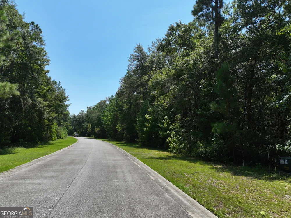 LOT 50 Tar Flower TRL Waverly, GA 31565