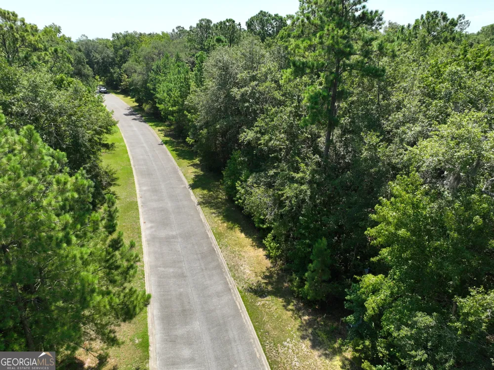 LOT 50 Tar Flower TRL Waverly, GA 31565