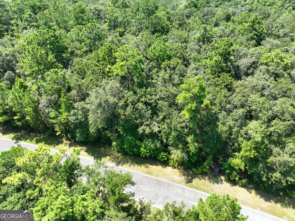 LOT 50 Tar Flower TRL Waverly, GA 31565