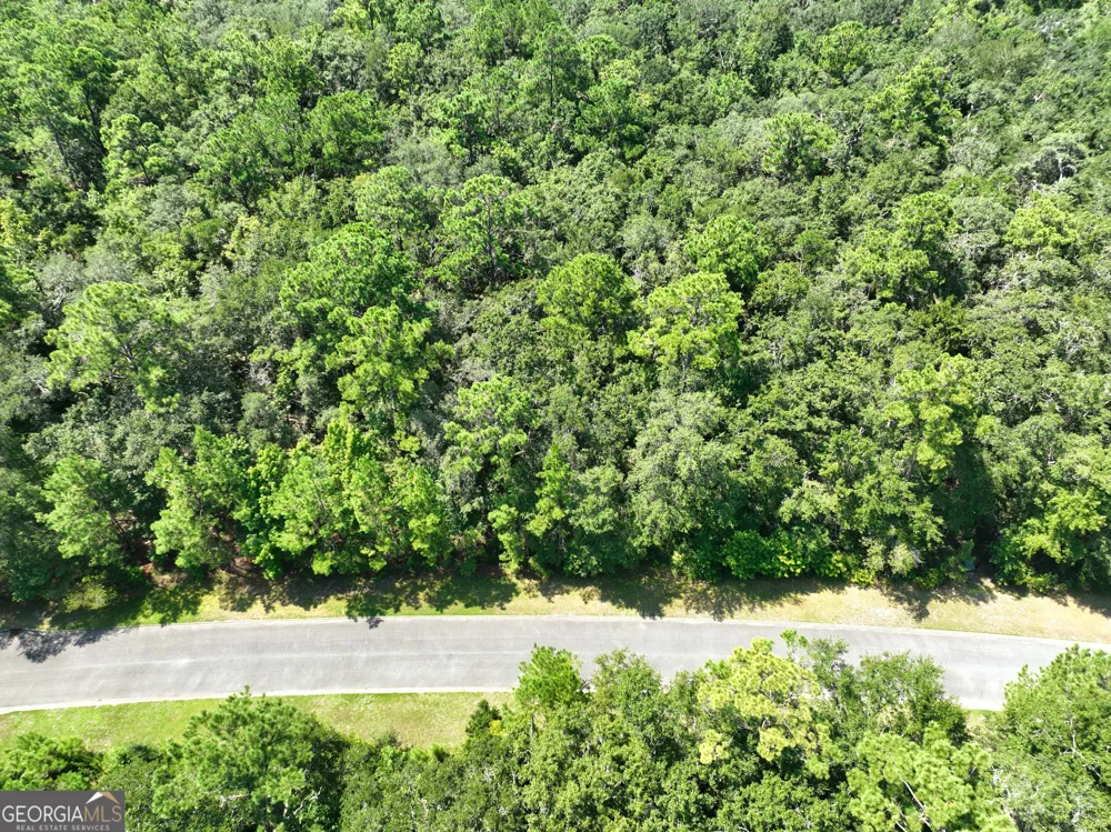 LOT 50 Tar Flower TRL Waverly, GA 31565