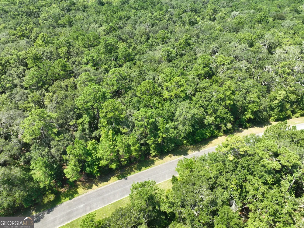 LOT 50 Tar Flower TRL Waverly, GA 31565