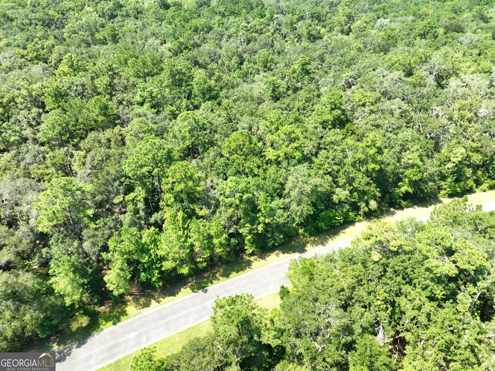 LOT 50 Tar Flower TRL Waverly, GA 31565