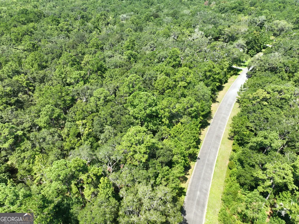LOT 50 Tar Flower TRL Waverly, GA 31565