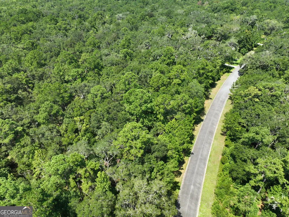 LOT 50 Tar Flower TRL Waverly, GA 31565