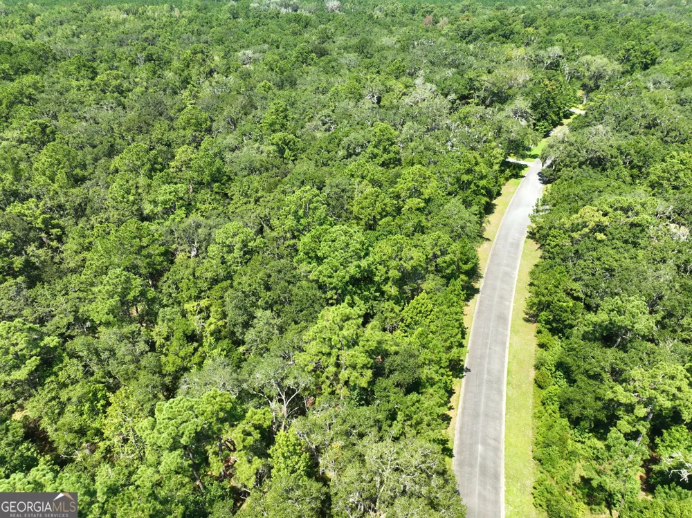 LOT 50 Tar Flower TRL Waverly, GA 31565