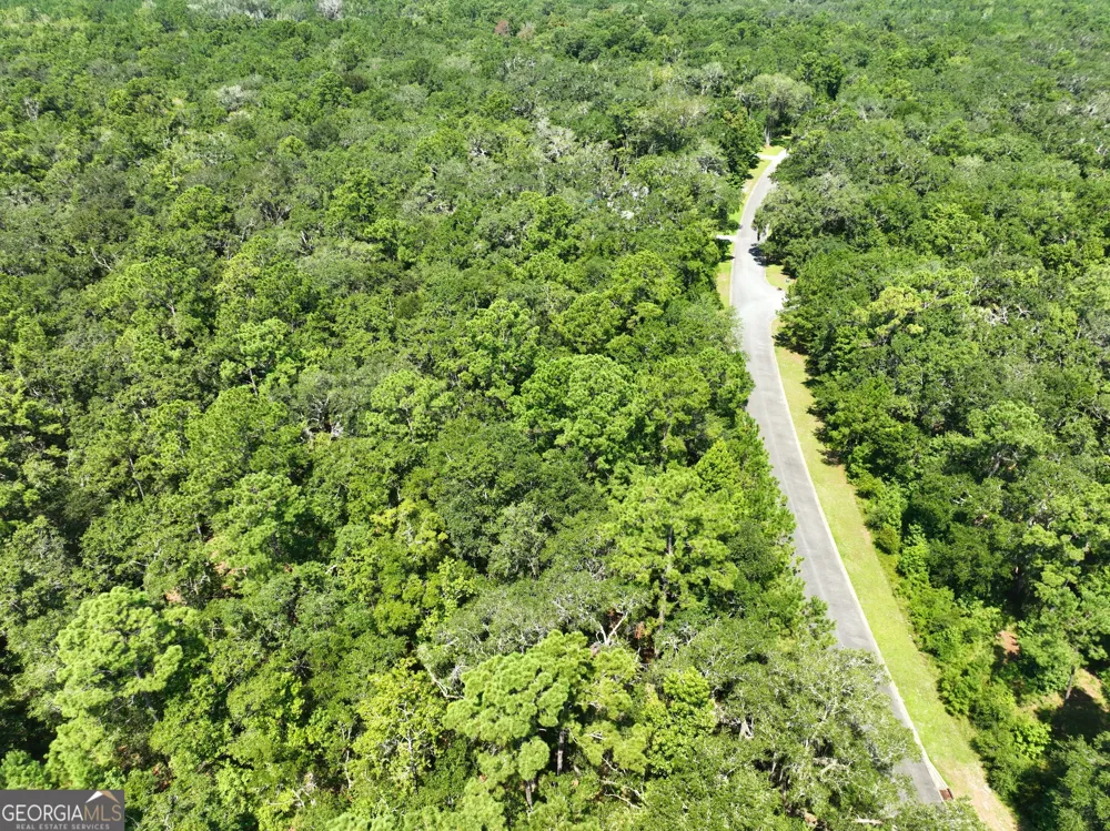 LOT 50 Tar Flower TRL Waverly, GA 31565