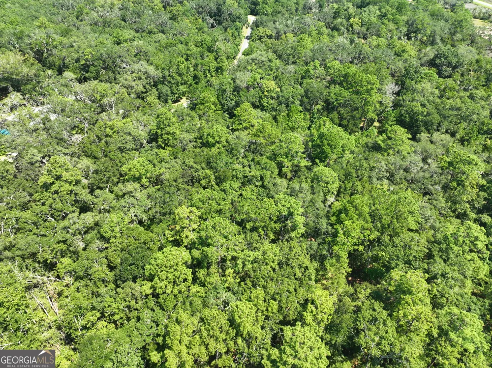 LOT 50 Tar Flower TRL Waverly, GA 31565
