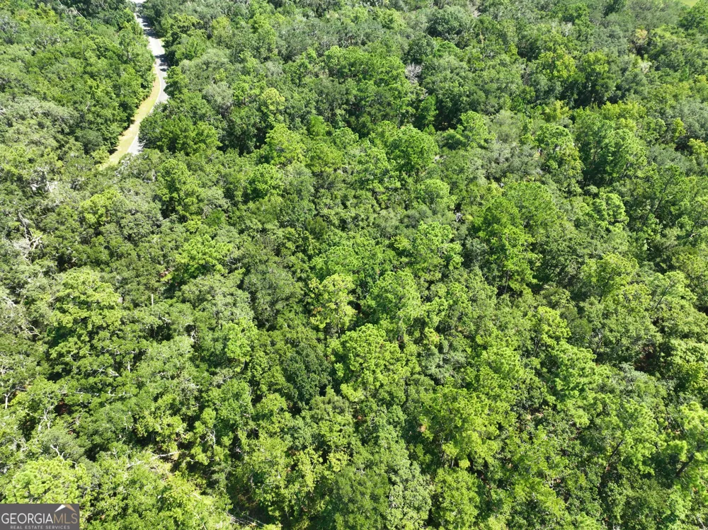LOT 50 Tar Flower TRL Waverly, GA 31565