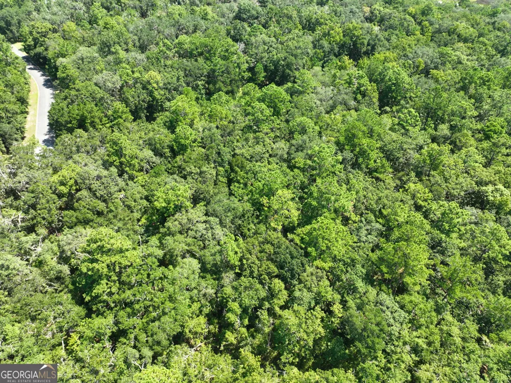 LOT 50 Tar Flower TRL Waverly, GA 31565