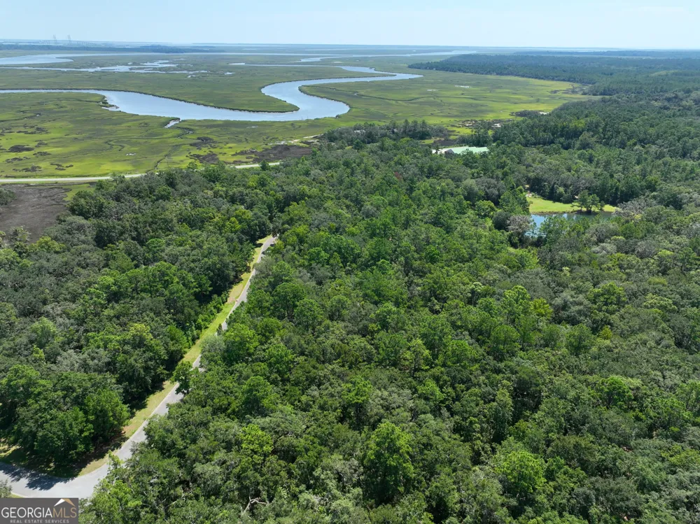 LOT 50 Tar Flower TRL Waverly, GA 31565