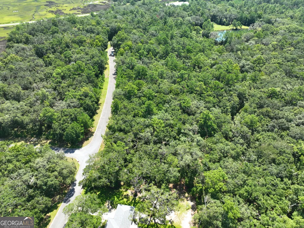 LOT 50 Tar Flower TRL Waverly, GA 31565
