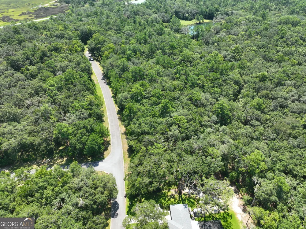 LOT 50 Tar Flower TRL Waverly, GA 31565