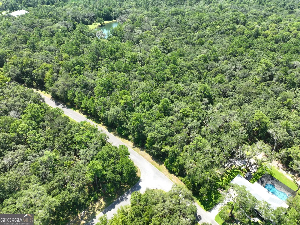 LOT 50 Tar Flower TRL Waverly, GA 31565