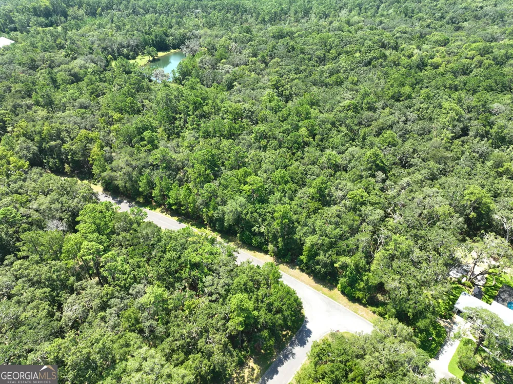 LOT 50 Tar Flower TRL Waverly, GA 31565