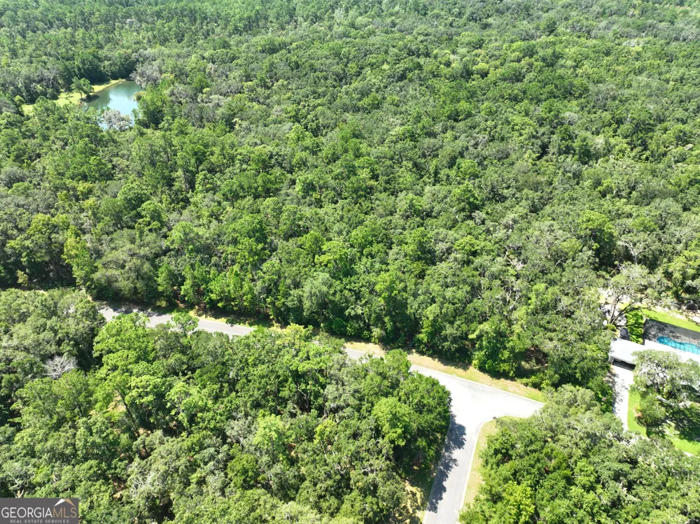 LOT 50 Tar Flower TRL Waverly, GA 31565
