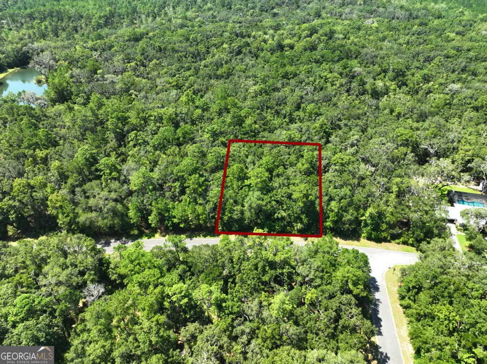 LOT 50 Tar Flower TRL Waverly, GA 31565
