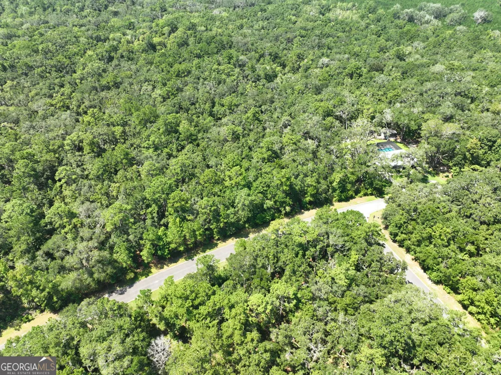 LOT 50 Tar Flower TRL Waverly, GA 31565