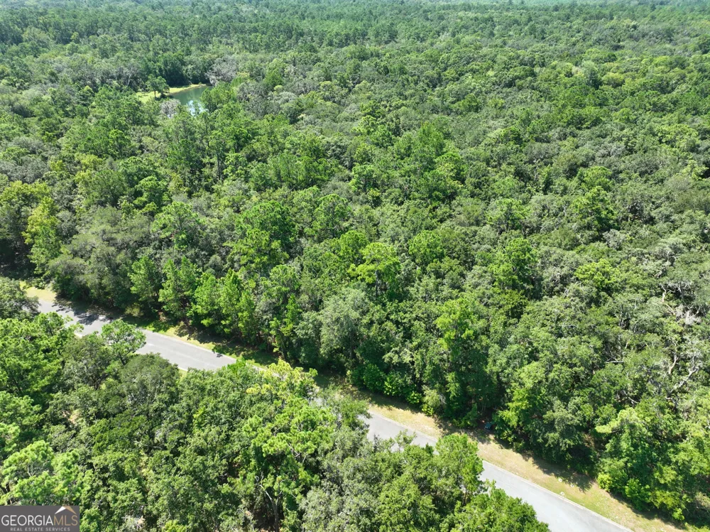 LOT 50 Tar Flower TRL Waverly, GA 31565