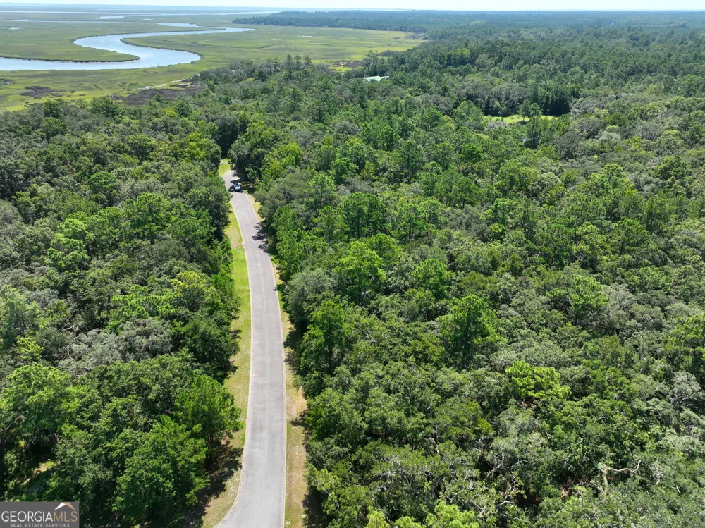 LOT 50 Tar Flower TRL Waverly, GA 31565