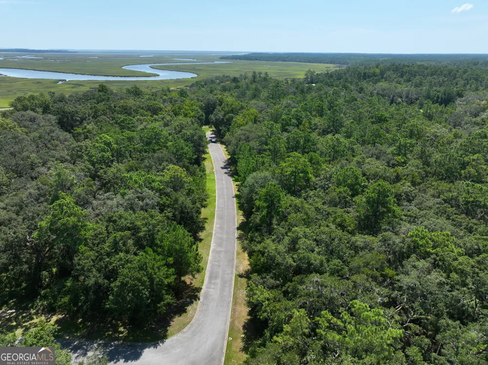LOT 50 Tar Flower TRL Waverly, GA 31565