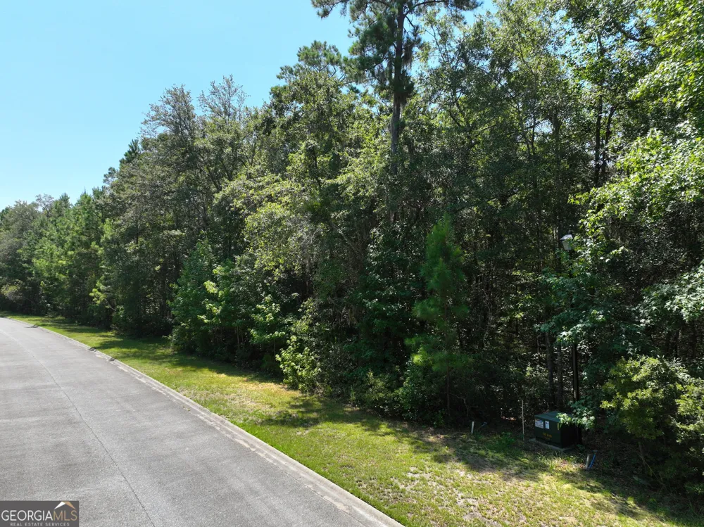 LOT 50 Tar Flower TRL Waverly, GA 31565