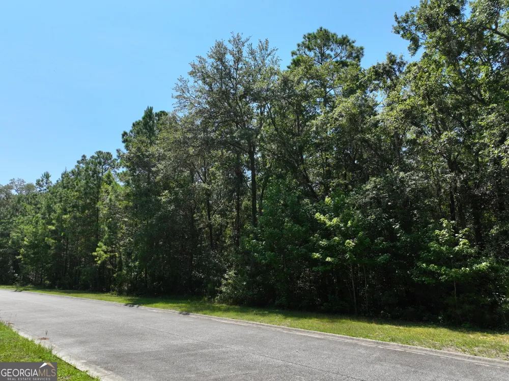 LOT 50 Tar Flower TRL Waverly, GA 31565