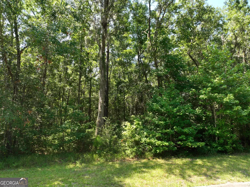 LOT 50 Tar Flower TRL Waverly, GA 31565