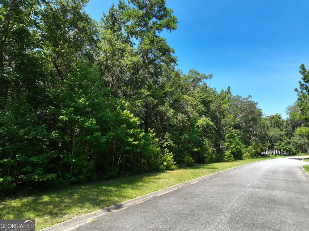 LOT 50 Tar Flower TRL Waverly, GA 31565