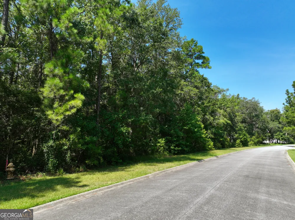 LOT 50 Tar Flower TRL Waverly, GA 31565