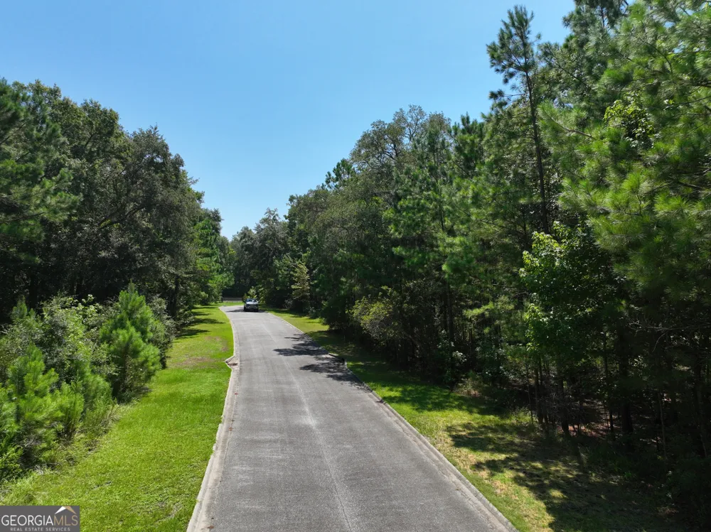 LOT 50 Tar Flower TRL Waverly, GA 31565