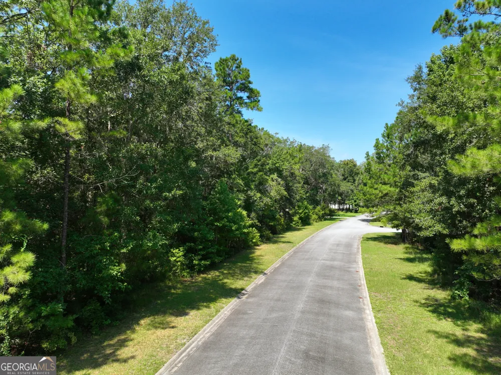 LOT 50 Tar Flower TRL Waverly, GA 31565