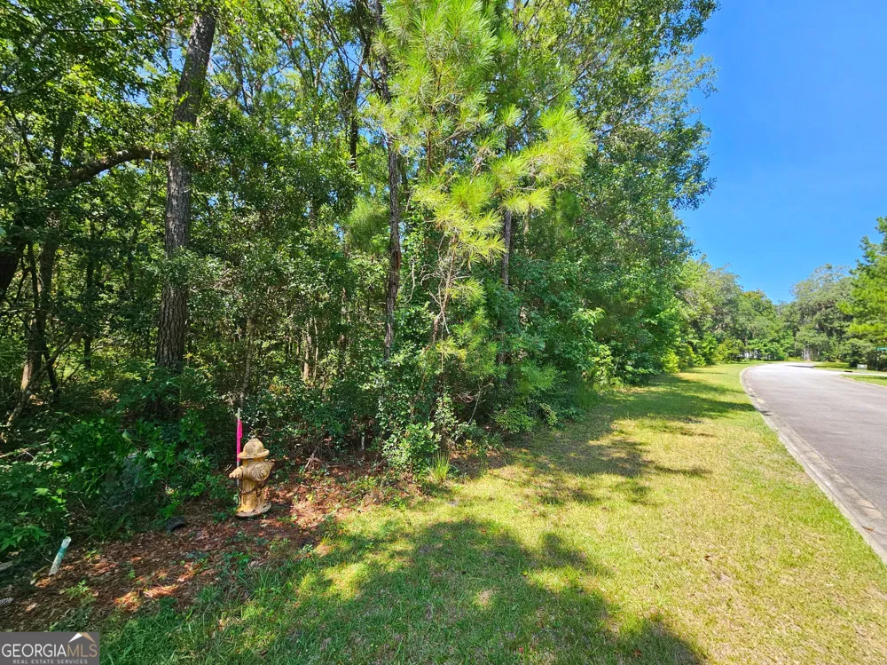 LOT 50 Tar Flower TRL Waverly, GA 31565
