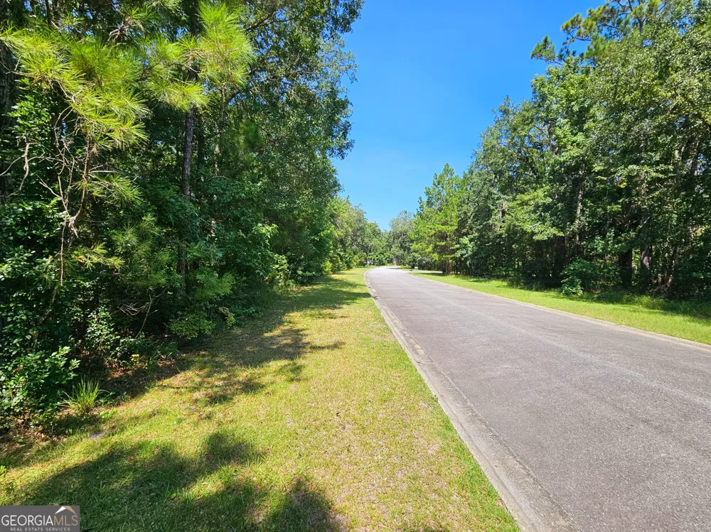 LOT 50 Tar Flower TRL Waverly, GA 31565